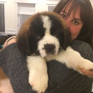 Meet your Posher, Deana